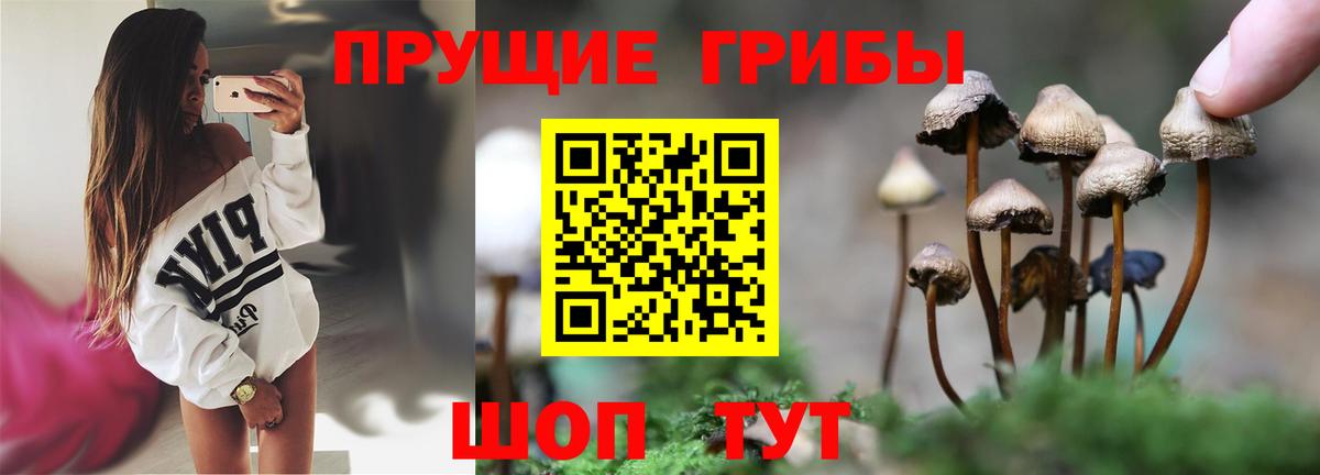 Галлюциногенные грибы мицелий Обнинск